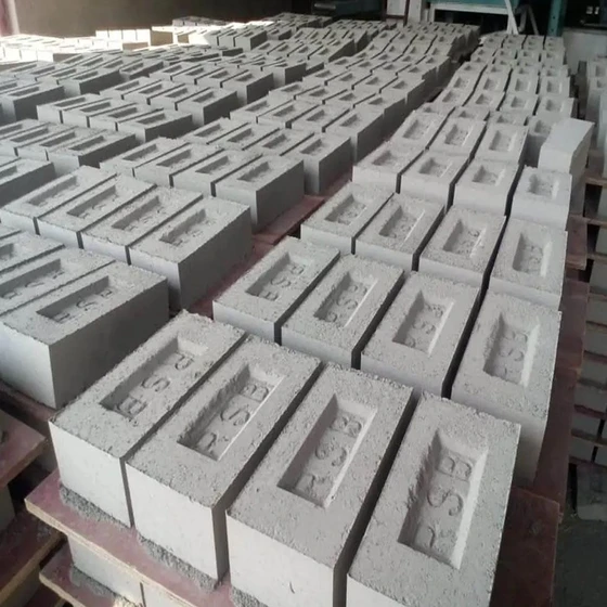 fly-ash-cement-bricks-1.webp