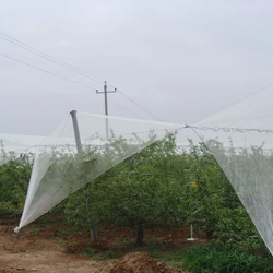 Durable Anti-Hail Net Safe Secure Crops Protection