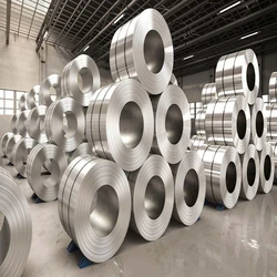 Rolled Aluminum Coils
