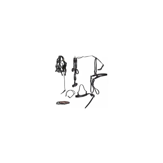 design-horse-harness-2.webp