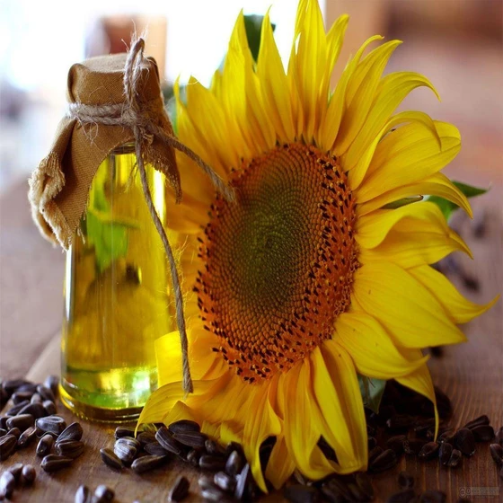 sunflower-cooking-oil-2.webp