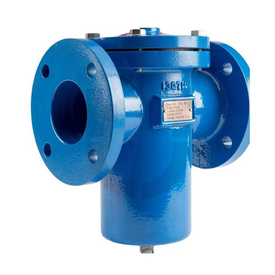 flanged-pot-strainer-2.webp