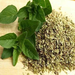 Premium Food Seasonings Oregano Powder Best Price Deal