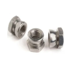 SS Anti Theft Nut