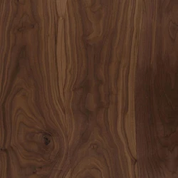 Natural Veneer Sheet