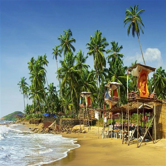 goa-tour-packages-services-2.webp