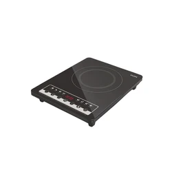 Induction Kitchen Cooker