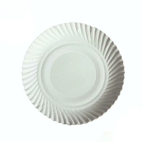 white-disposable-paper-plate-1.webp