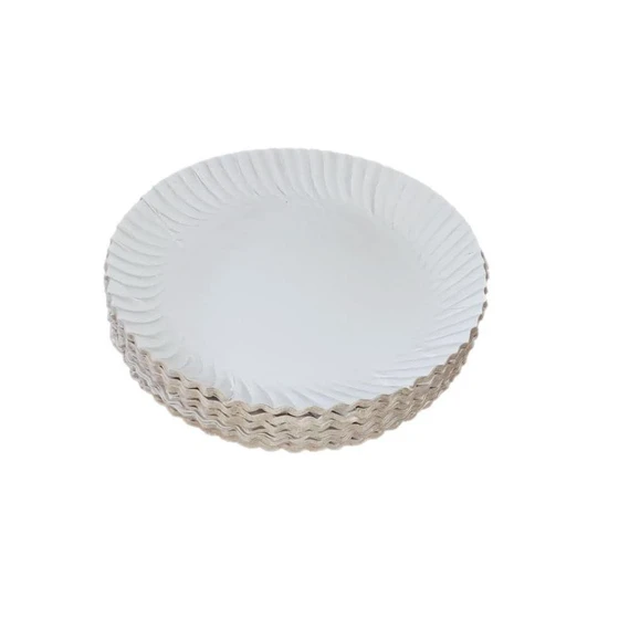 white-disposable-paper-plate-2.webp
