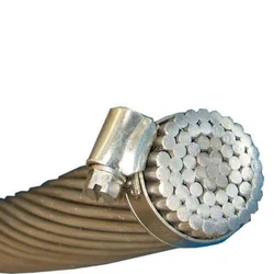 Round Moose Conductor