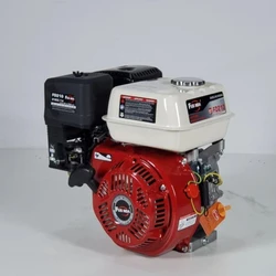 Petrol Gasoline Engine 