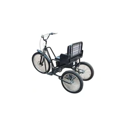 Battery Operated Motorized Tricycle