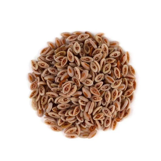dried-isab-gol-beej-1.webp
