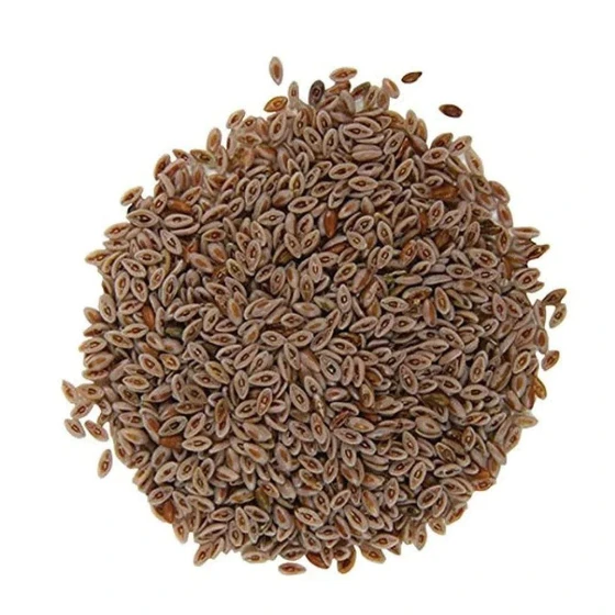 dried-isab-gol-beej-2.webp
