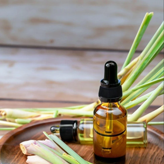 lemongrass-essential-oil-2.webp