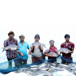 Fish Farming Production