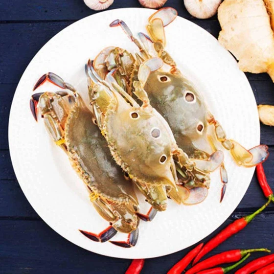 sea-mud-crab-2.webp