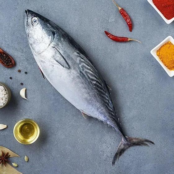 fresh-tuna-fish-1.webp