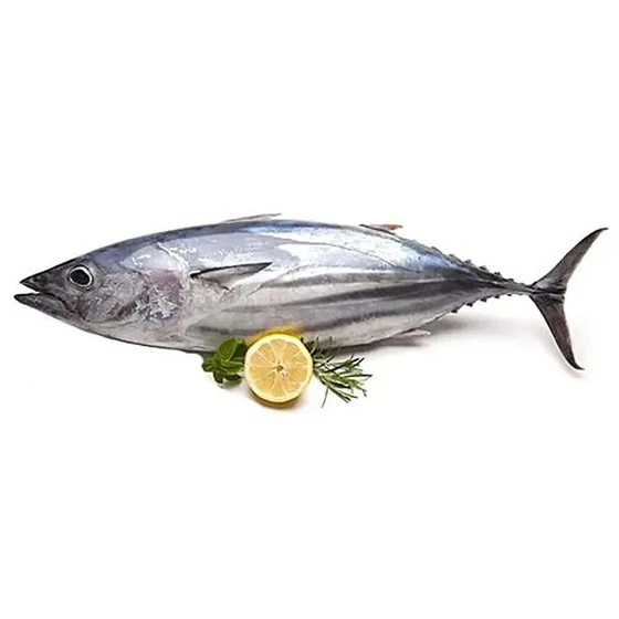 fresh-tuna-fish-2.webp