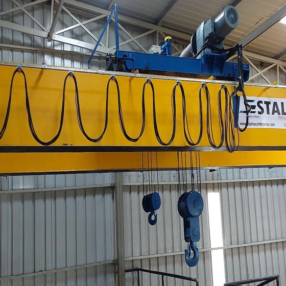 eot-electric-crane-1.webp