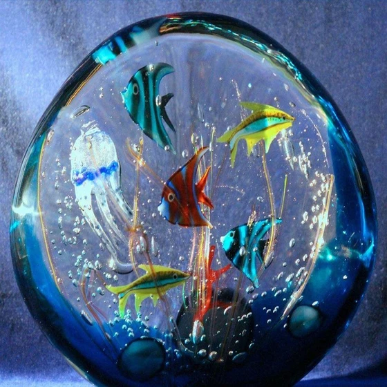 glass-fish-aquarium-2.webp