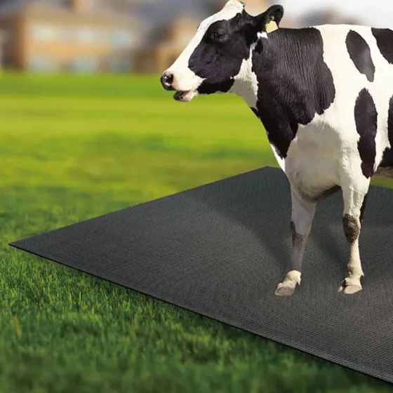 rubber-cow-mat-2.webp