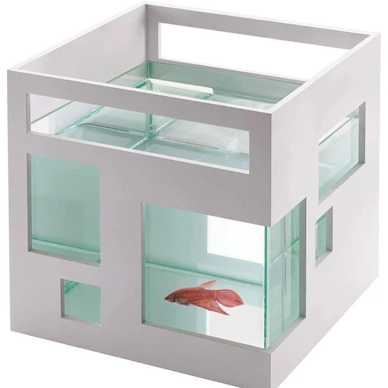 acrylic-fish-tank-1.webp