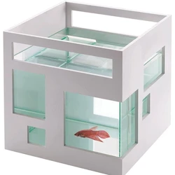 Acrylic Fish Tank