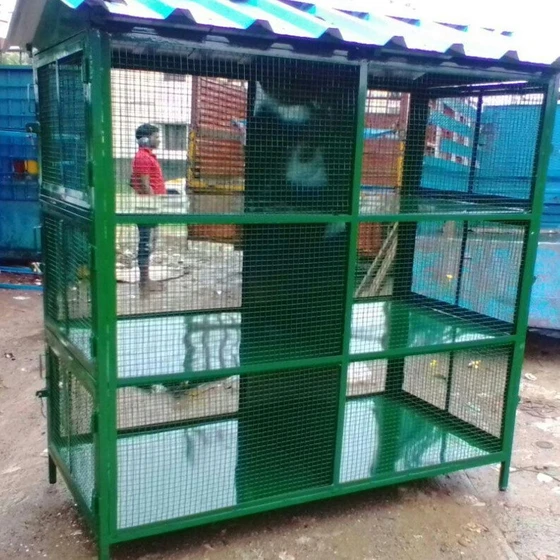 green-chicken-cage-2.webp