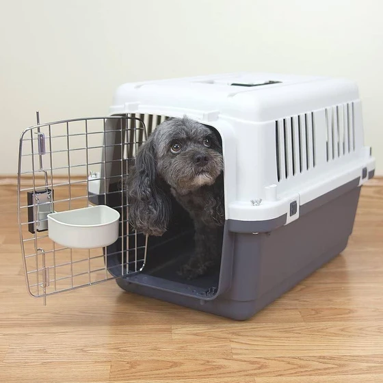 flight-dog-cage-2.webp