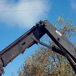 Powerline Crane Scales