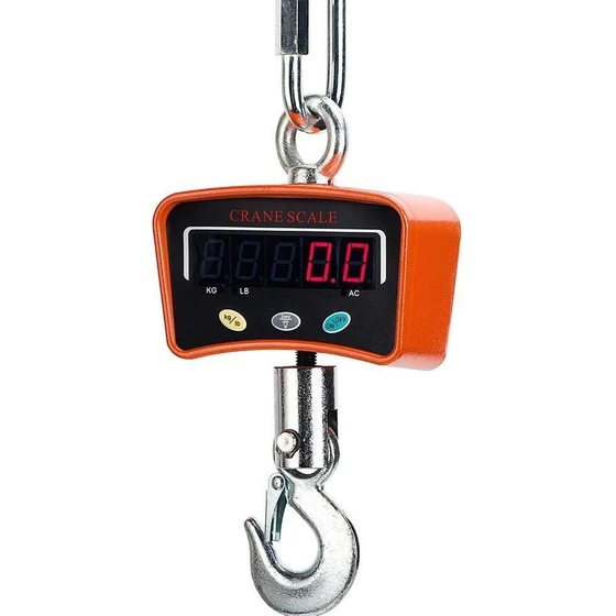 ss-crane-scale-1.webp