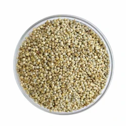 Organic Pearl Millet