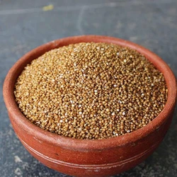Organic Foxtail Millet