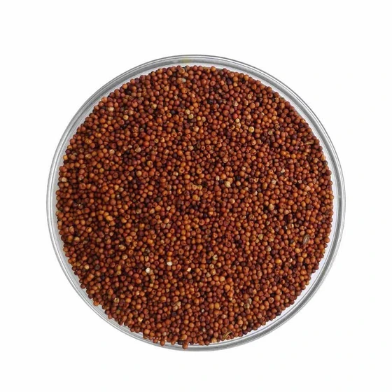 organic-finger-millet-2.webp