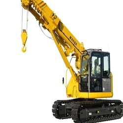 Mini Crawler Cranes