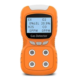 Portable Gas Detector