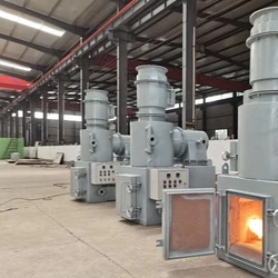 Disposal Waste Incinerators