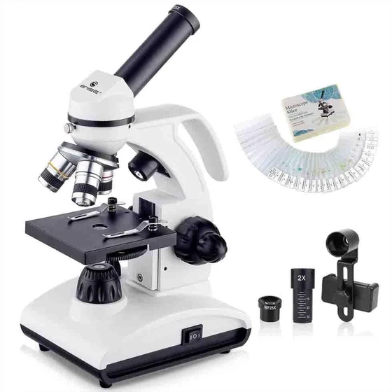 biological-microscopes-2.webp