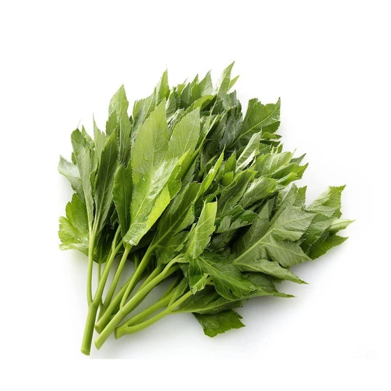 leaf-herbal-plant-2.webp