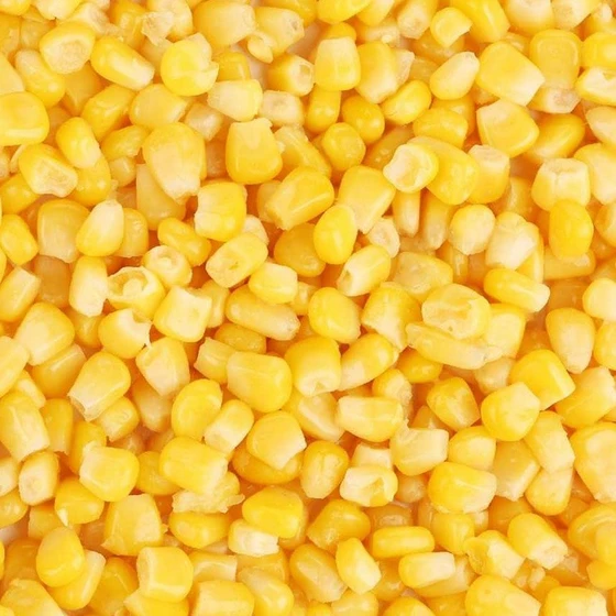 sweet-corn-seeds-2.webp