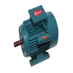 Single Phase Electric Motor