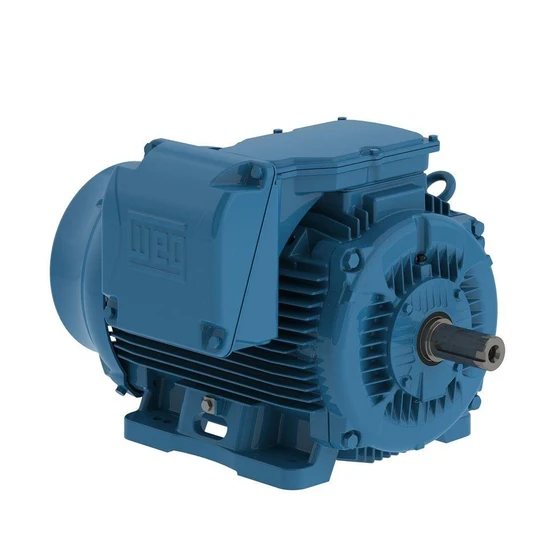 crusher-duty-motor-2.webp