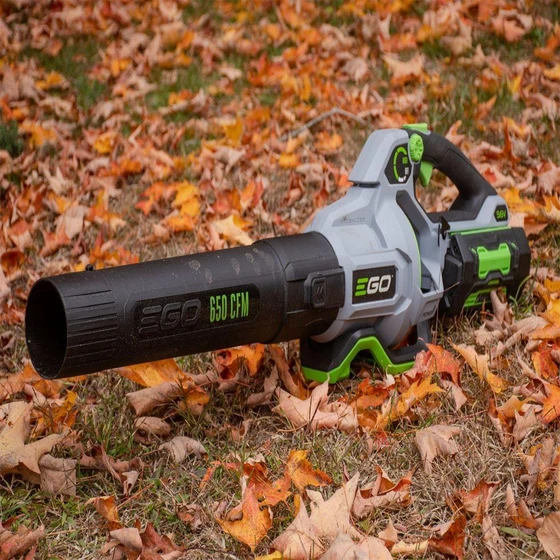 leaf-blower-2.webp