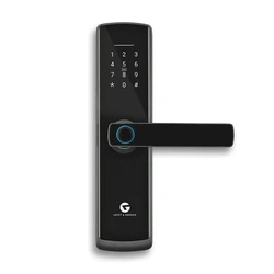 Electronic Smart Door 