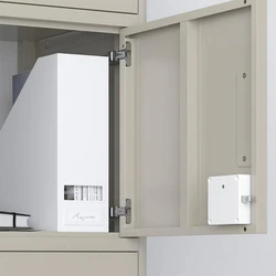 Cabinet Smart Lock