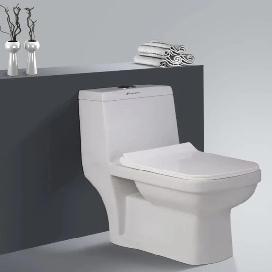 mounted-ceramic-toilet-2.webp