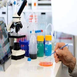 Detergent Testing Services