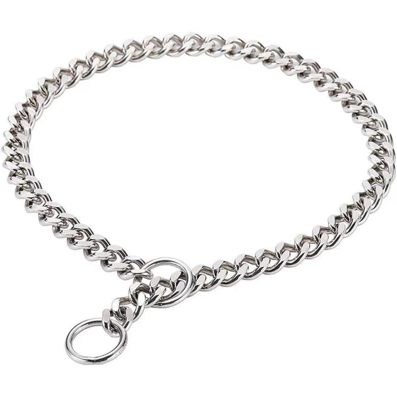 dog-chain-collar-1.webp