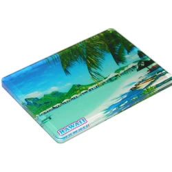 Acrylic Fridge Magnets